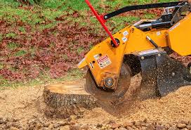 Leaf Removal in Castle Rock, CO